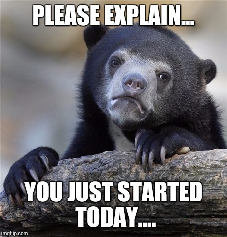 Confession Bear Meme | PLEASE EXPLAIN... YOU JUST STARTED TODAY.... | image tagged in memes,confession bear | made w/ Imgflip meme maker