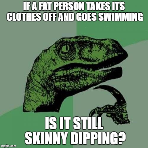 Philosoraptor |  IF A FAT PERSON TAKES ITS CLOTHES OFF AND GOES SWIMMING; IS IT STILL SKINNY DIPPING? | image tagged in memes,philosoraptor,fat | made w/ Imgflip meme maker