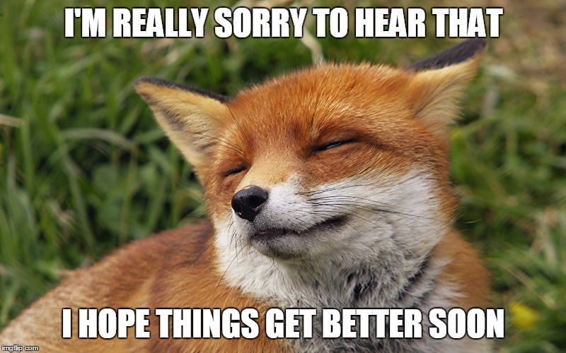 first-world-problems-meme-imgflip