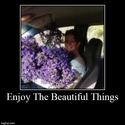 Enjoy the beautiful things | image tagged in demotivationals,beautiful,flowers,purple | made w/ Imgflip demotivational maker