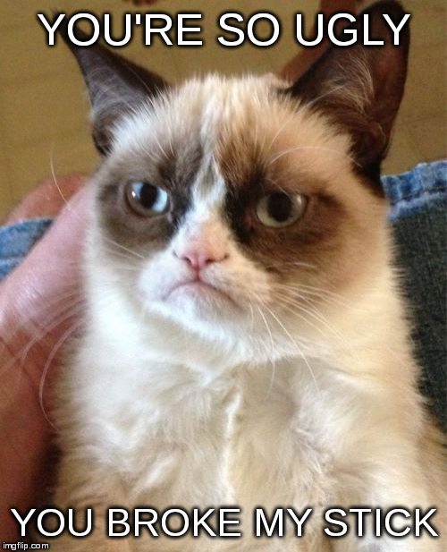 Grumpy Cat | YOU'RE SO UGLY; YOU BROKE MY STICK | image tagged in memes,grumpy cat | made w/ Imgflip meme maker