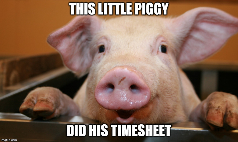 This Piggy Did his Timesheet | THIS LITTLE PIGGY; DID HIS TIMESHEET | image tagged in timesheet reminder | made w/ Imgflip meme maker