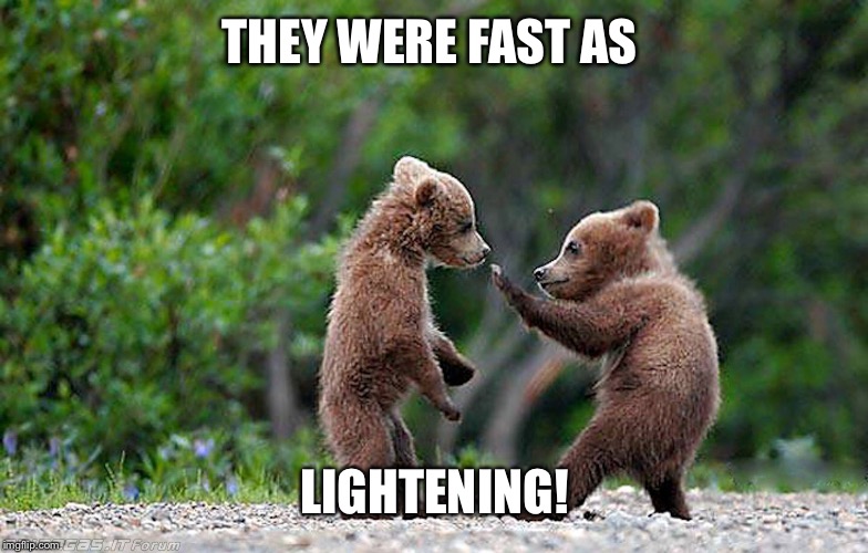 THEY WERE FAST AS LIGHTENING! | made w/ Imgflip meme maker