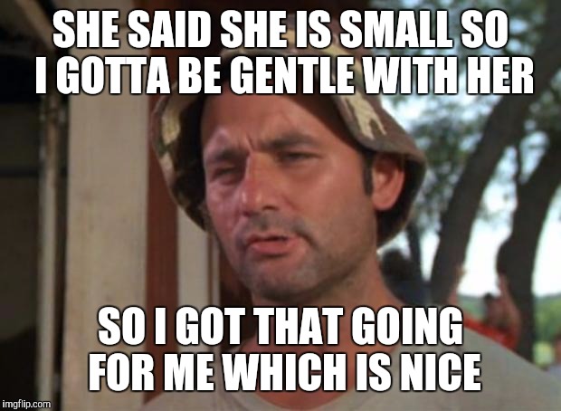 WOO WEE YES! | SHE SAID SHE IS SMALL SO I GOTTA BE GENTLE WITH HER; SO I GOT THAT GOING FOR ME WHICH IS NICE | image tagged in memes,so i got that goin for me which is nice | made w/ Imgflip meme maker