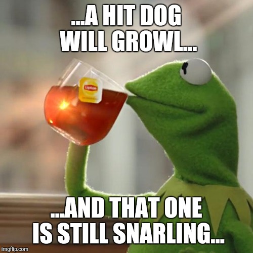 But That's None Of My Business Meme | ...A HIT DOG WILL GROWL... ...AND THAT ONE IS STILL SNARLING... | image tagged in memes,but thats none of my business,kermit the frog | made w/ Imgflip meme maker