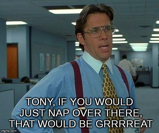 That Would Be Great Meme | TONY, IF YOU WOULD JUST NAP OVER THERE, THAT WOULD BE GRRRREAT | image tagged in memes,that would be great | made w/ Imgflip meme maker