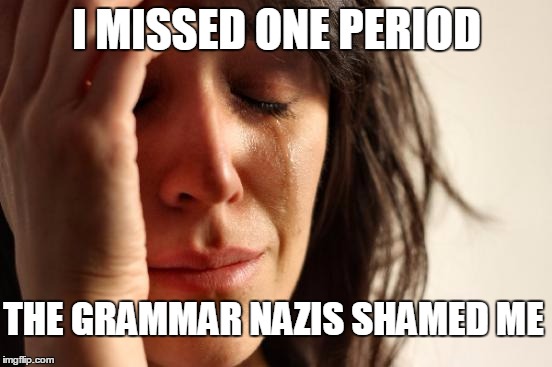 THE GRAMMAR NAZIS NOT SO PERFECT | I MISSED ONE PERIOD; THE GRAMMAR NAZIS SHAMED ME | image tagged in memes,first world problems,grammar nazi,meanwhile on imgflip | made w/ Imgflip meme maker