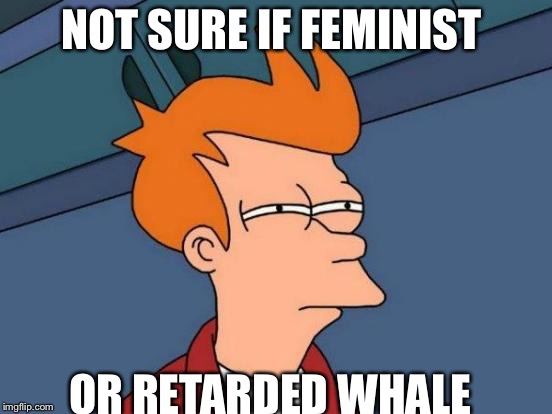 Futurama Fry Meme | NOT SURE IF FEMINIST; OR RETARDED WHALE | image tagged in memes,futurama fry | made w/ Imgflip meme maker