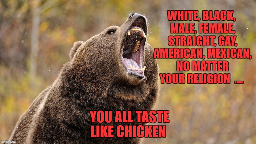 Taste Like Chicken | WHITE, BLACK, MALE, FEMALE, STRAIGHT, GAY, AMERICAN, MEXICAN, NO MATTER YOUR RELIGION  .... YOU ALL TASTE LIKE CHICKEN | image tagged in bears,you're all the same,finger lickin' good | made w/ Imgflip meme maker