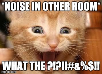 Excited Kitten | *NOISE IN OTHER ROOM*; WHAT THE ?!?!!#&%$!! | image tagged in excited kitten | made w/ Imgflip meme maker