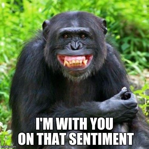 Keep Smiling | I'M WITH YOU ON THAT SENTIMENT | image tagged in keep smiling | made w/ Imgflip meme maker