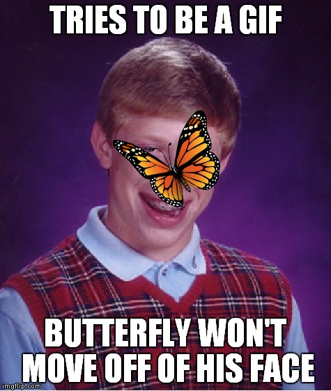 Bad Luck Brian Meme | TRIES TO BE A GIF BUTTERFLY WON'T MOVE OFF OF HIS FACE | image tagged in memes,bad luck brian | made w/ Imgflip meme maker