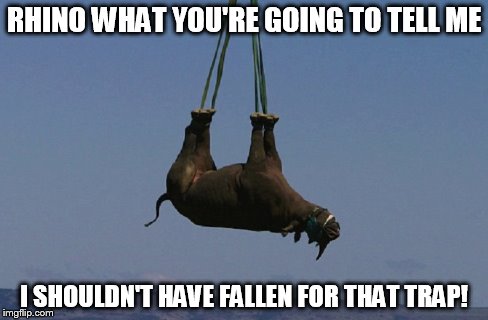 RHINO WHAT YOU'RE GOING TO TELL ME I SHOULDN'T HAVE FALLEN FOR THAT TRAP! | made w/ Imgflip meme maker