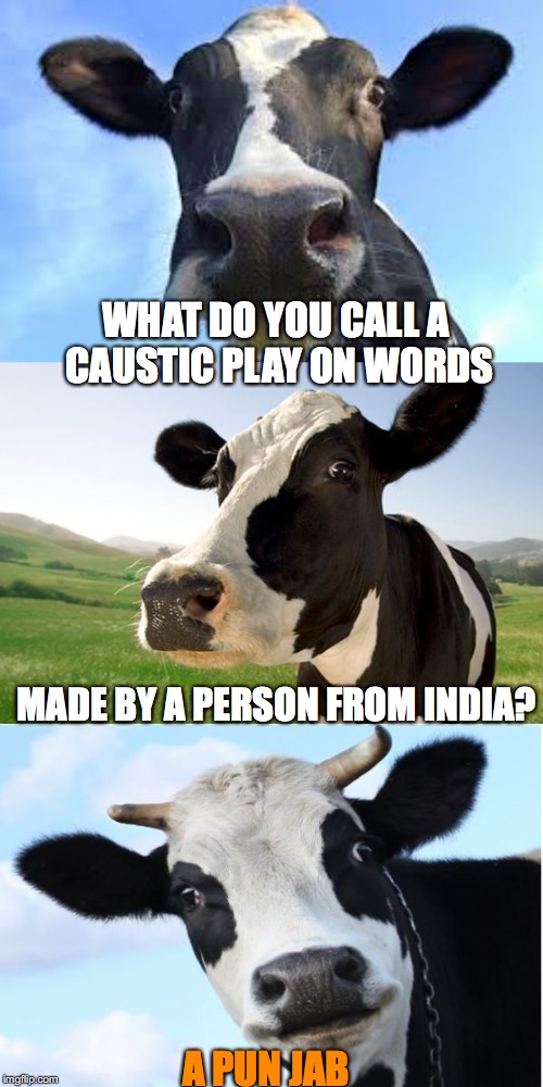 Bad Pun Cow | WHAT DO YOU CALL A CAUSTIC PLAY ON WORDS; MADE BY A PERSON FROM INDIA? A PUN JAB | image tagged in bad pun cow | made w/ Imgflip meme maker