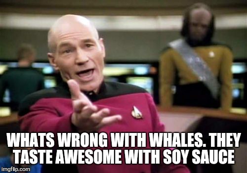 Picard Wtf Meme | WHATS WRONG WITH WHALES. THEY TASTE AWESOME WITH SOY SAUCE | image tagged in memes,picard wtf | made w/ Imgflip meme maker