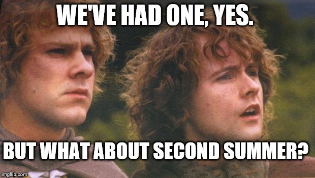 second breakfast | WE'VE HAD ONE, YES. BUT WHAT ABOUT SECOND SUMMER? | image tagged in second breakfast,summer,fall | made w/ Imgflip meme maker