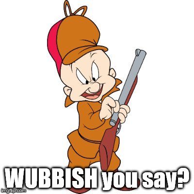 That's MISTER Fudd to you! | WUBBISH you say? | image tagged in that's mister fudd to you | made w/ Imgflip meme maker