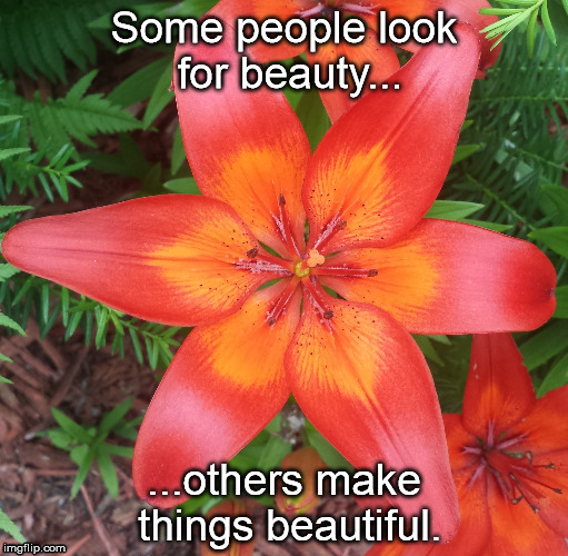 Beauty | Some people look for beauty... ...others make things beautiful. | image tagged in beauty,flowers,inspirational quote,memes,nature | made w/ Imgflip meme maker