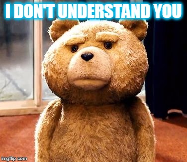 TED | I DON'T UNDERSTAND YOU | image tagged in memes,ted | made w/ Imgflip meme maker