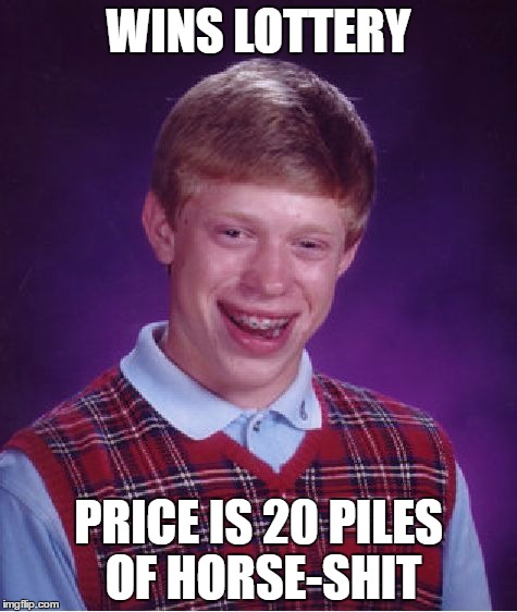 Bad Luck Brian | WINS LOTTERY; PRICE IS 20 PILES OF HORSE-SHIT | image tagged in memes,bad luck brian | made w/ Imgflip meme maker