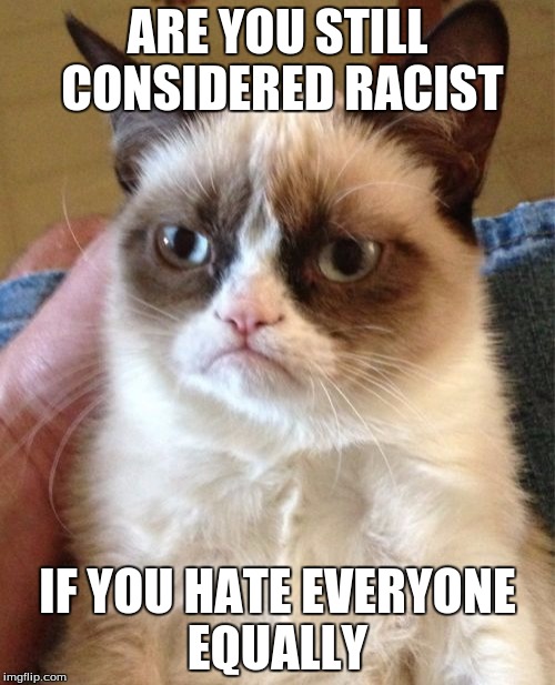 The question that I ask myself everyday... | ARE YOU STILL CONSIDERED RACIST; IF YOU HATE EVERYONE EQUALLY | image tagged in memes,grumpy cat | made w/ Imgflip meme maker