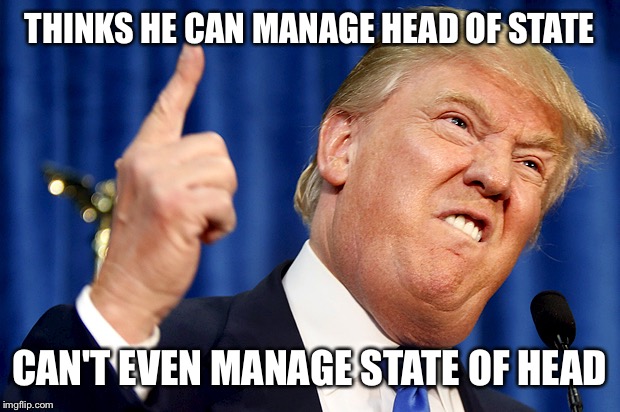 Donald Trump | THINKS HE CAN MANAGE HEAD OF STATE; CAN'T EVEN MANAGE STATE OF HEAD | image tagged in donald trump | made w/ Imgflip meme maker