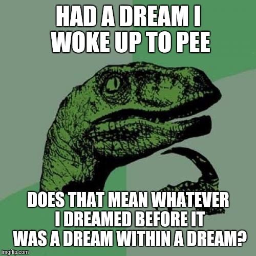 Philosoraptor | HAD A DREAM I WOKE UP TO PEE; DOES THAT MEAN WHATEVER I DREAMED BEFORE IT WAS A DREAM WITHIN A DREAM? | image tagged in memes,philosoraptor | made w/ Imgflip meme maker