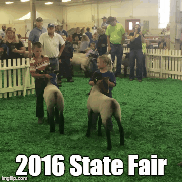 2016 State Fair | 2016 State Fair | image tagged in gifs | made w/ Imgflip images-to-gif maker