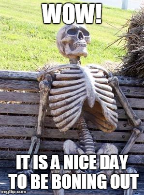 Waiting Skeleton Meme | WOW! IT IS A NICE DAY TO BE BONING OUT | image tagged in memes,waiting skeleton | made w/ Imgflip meme maker