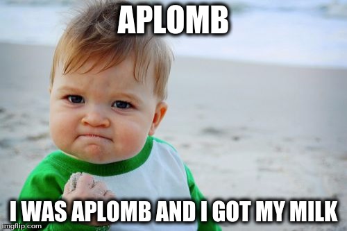 Success Kid Original | APLOMB; I WAS APLOMB AND I GOT MY MILK | image tagged in memes,success kid original | made w/ Imgflip meme maker