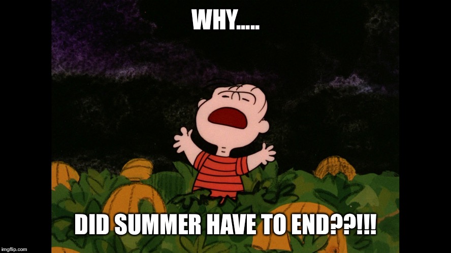Great Pumpkin | WHY..... DID SUMMER HAVE TO END??!!! | image tagged in great pumpkin | made w/ Imgflip meme maker