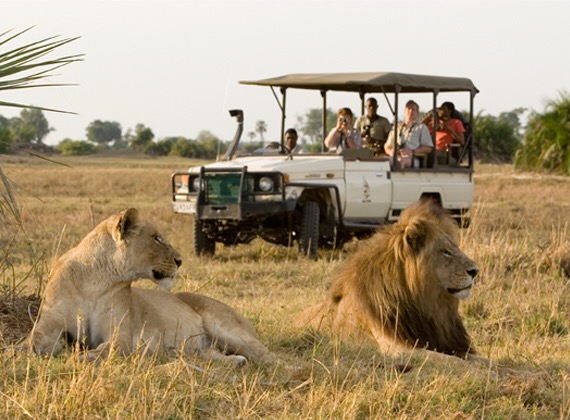 Safari jeep Blank Meme Template