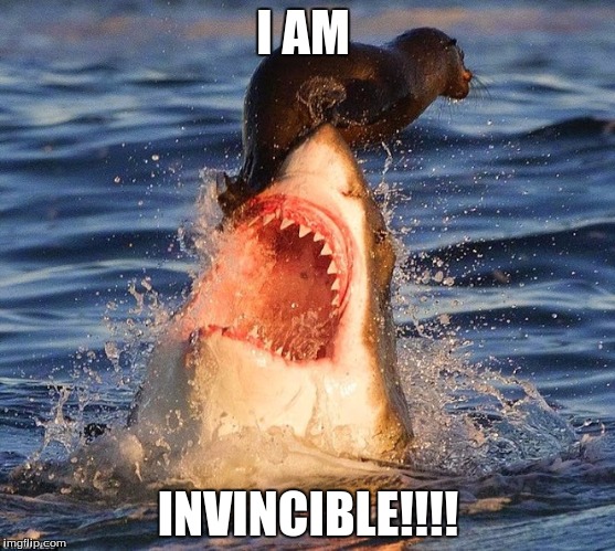 Invincible Seal | I AM; INVINCIBLE!!!! | image tagged in great white shark,seal | made w/ Imgflip meme maker