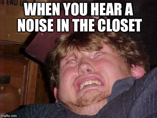 WTF | WHEN YOU HEAR A NOISE IN THE CLOSET | image tagged in memes,wtf | made w/ Imgflip meme maker