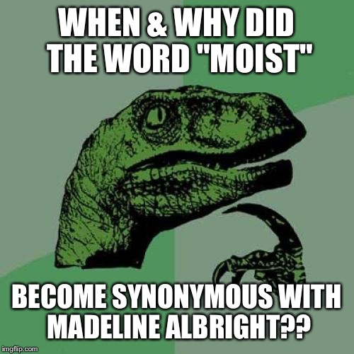 WHY?!? | WHEN & WHY DID THE WORD "MOIST"; BECOME SYNONYMOUS WITH MADELINE ALBRIGHT?? | image tagged in memes,philosoraptor | made w/ Imgflip meme maker