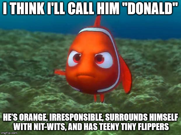 Nemo | I THINK I'LL CALL HIM "DONALD"; HE'S ORANGE, IRRESPONSIBLE, SURROUNDS HIMSELF WITH NIT-WITS, AND HAS TEENY TINY FLIPPERS | image tagged in nemo | made w/ Imgflip meme maker