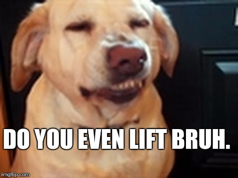DO YOU EVEN LIFT BRUH. | image tagged in dad joke dog | made w/ Imgflip meme maker