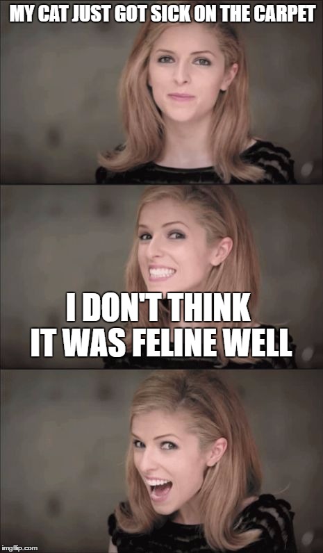 Bad Pun Anna Kendrick | MY CAT JUST GOT SICK ON THE CARPET; I DON'T THINK IT WAS FELINE WELL | image tagged in memes,bad pun anna kendrick | made w/ Imgflip meme maker