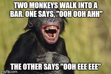 If people understood monkey language, this would be front page | TWO MONKEYS WALK INTO A BAR. ONE SAYS, "OOH OOH AHH"; THE OTHER SAYS "OOH EEE EEE" | image tagged in memes,monkey ooh | made w/ Imgflip meme maker