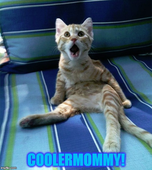 COOLERMOMMY! | made w/ Imgflip meme maker
