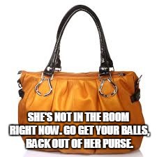 SHE'S NOT IN THE ROOM RIGHT NOW. GO GET YOUR BALLS, BACK OUT OF HER PURSE. | image tagged in purse,balls | made w/ Imgflip meme maker