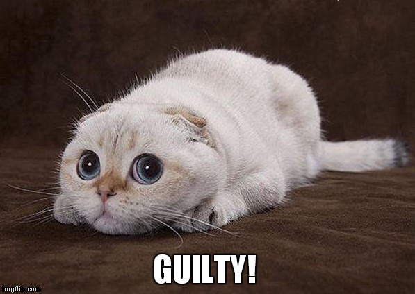 GUILTY! | made w/ Imgflip meme maker