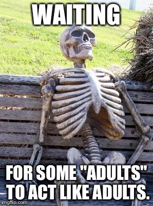 Waiting Skeleton | WAITING; FOR SOME "ADULTS" TO ACT LIKE ADULTS. | image tagged in memes,waiting skeleton | made w/ Imgflip meme maker