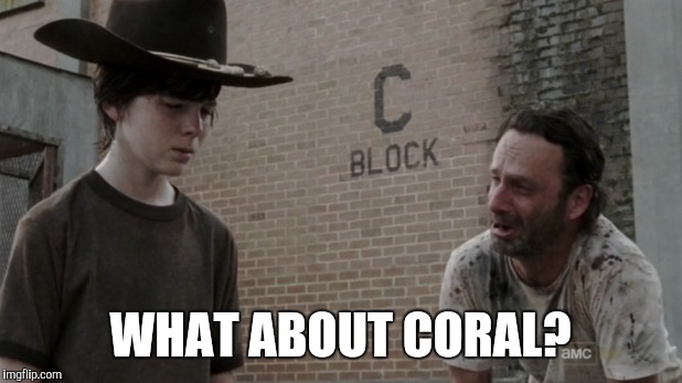 WHAT ABOUT CORAL? | made w/ Imgflip meme maker