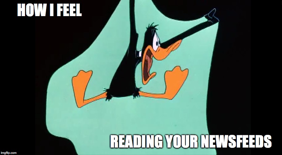 How I feel reading your newsfeeds | HOW I FEEL; READING YOUR NEWSFEEDS | image tagged in newsfeeds,daffy,daffy duck,funny,humor,duck amuck | made w/ Imgflip meme maker