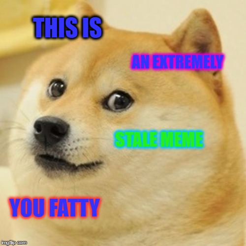 Doge Meme | THIS IS; AN EXTREMELY; STALE MEME; YOU FATTY | image tagged in memes,doge | made w/ Imgflip meme maker