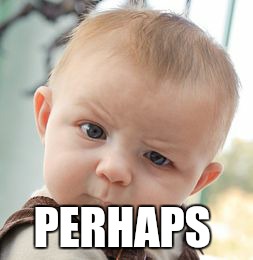 Skeptical Baby Meme | PERHAPS | image tagged in memes,skeptical baby | made w/ Imgflip meme maker