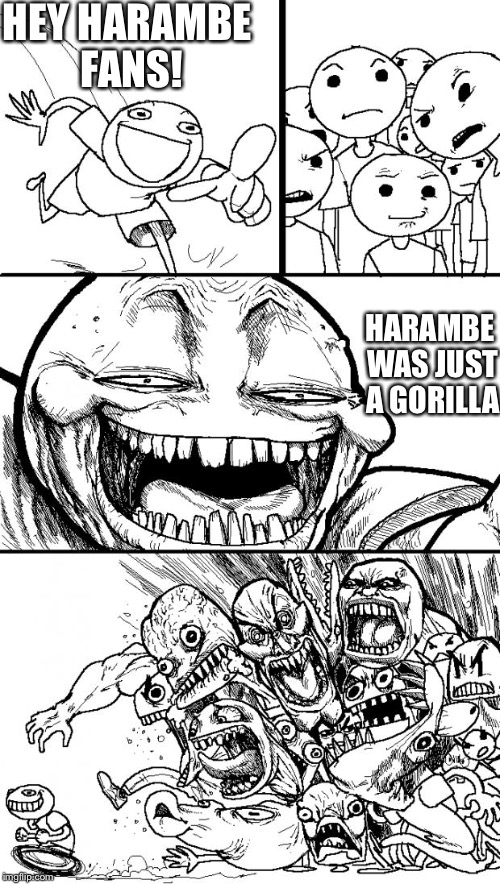 Hey Internet Meme | HEY HARAMBE FANS! HARAMBE WAS JUST A GORILLA | image tagged in memes,hey internet | made w/ Imgflip meme maker