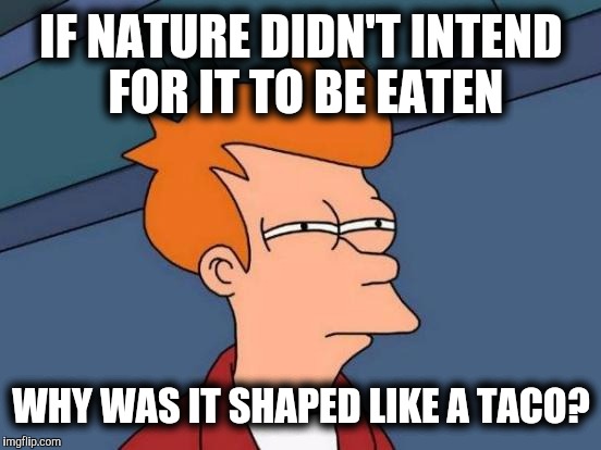 Futurama Fry Meme | IF NATURE DIDN'T INTEND FOR IT TO BE EATEN WHY WAS IT SHAPED LIKE A TACO? | image tagged in memes,futurama fry | made w/ Imgflip meme maker