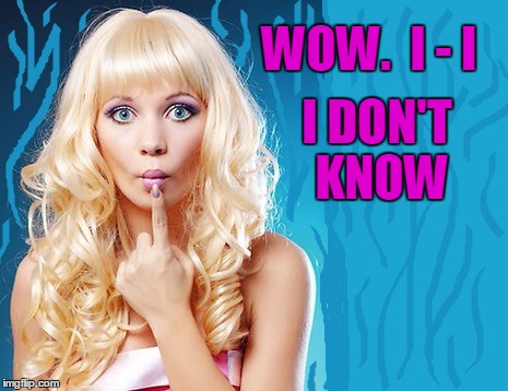 ditzy blonde | WOW.  I - I I DON'T KNOW | image tagged in ditzy blonde | made w/ Imgflip meme maker